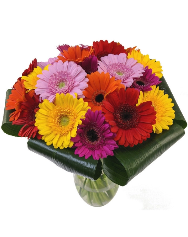 Make SomeoneS Day A Happy Day