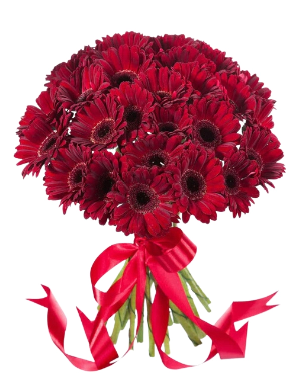 Lovely Gift For You