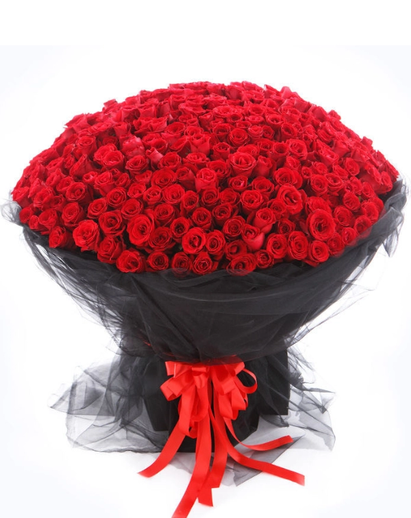 Glorious 365 red roses