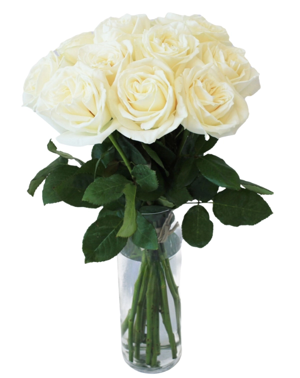 Delectable Roses