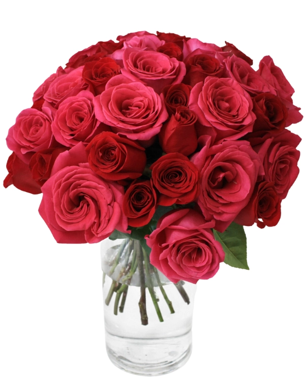 Romance