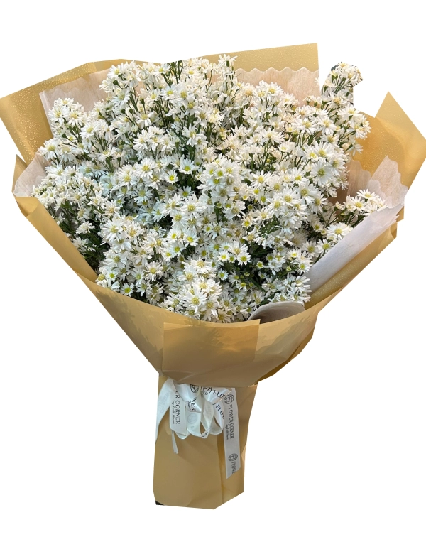European Michaelmas Daisy