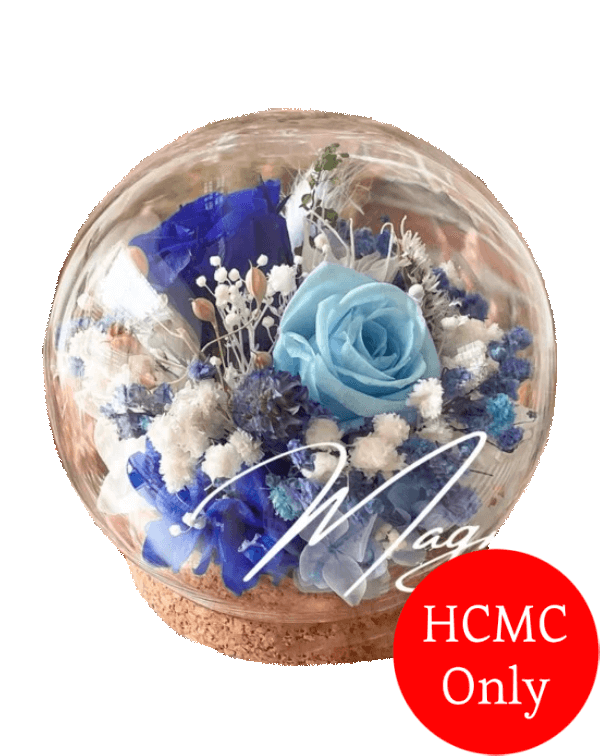 Preserved Rose 01