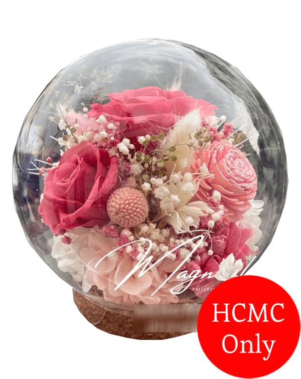 Preserved Rose 04