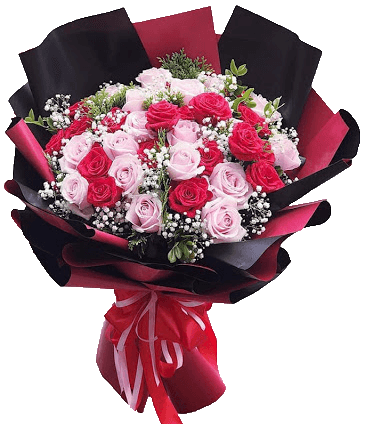 Bouquet of Red Velvet Roses