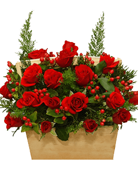 Arranged Beauty