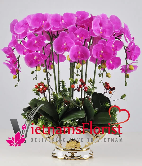 Royal Gift