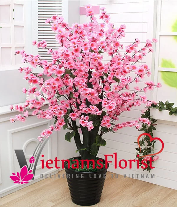 Fresh Spring
