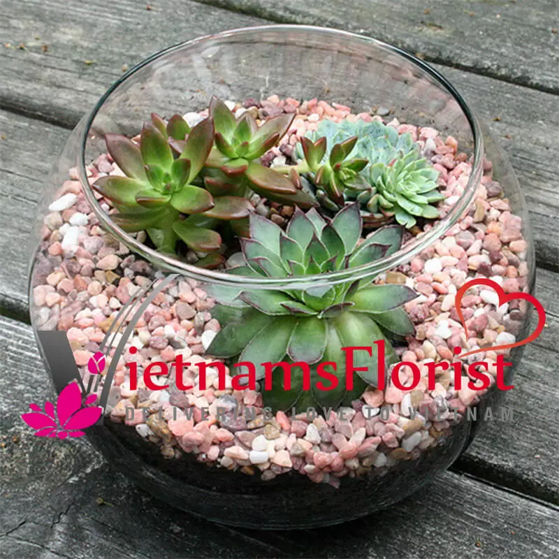 Little Thing